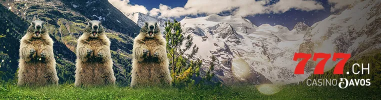 Www casinosenlignesuisse ch